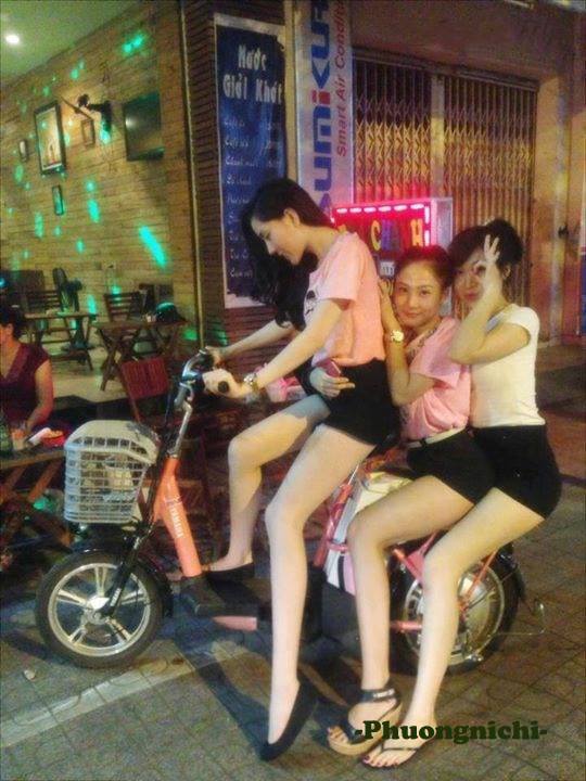 妈妈像花儿一样电视剧